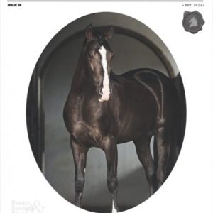 Issue-26-COVER-DRESSAGE-s-960x600